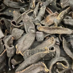 GA黄金甲制品