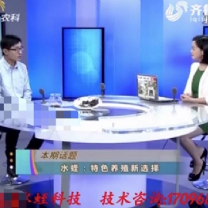 资质声誉