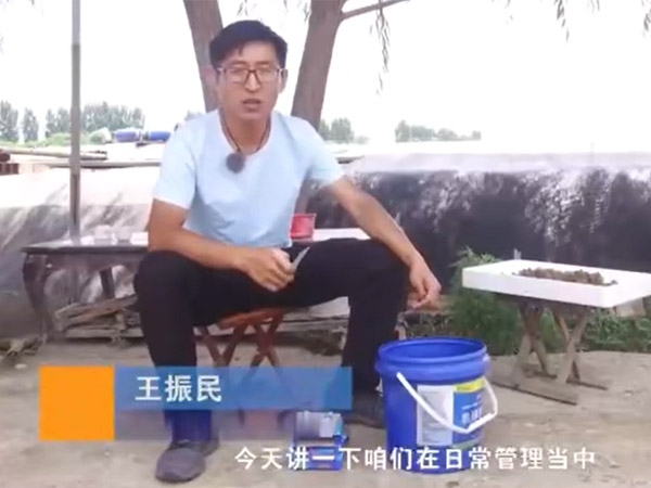 GA黄金甲养殖日常需检测的水体指标