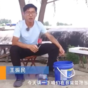 GA黄金甲养殖日常需检测的水体指标